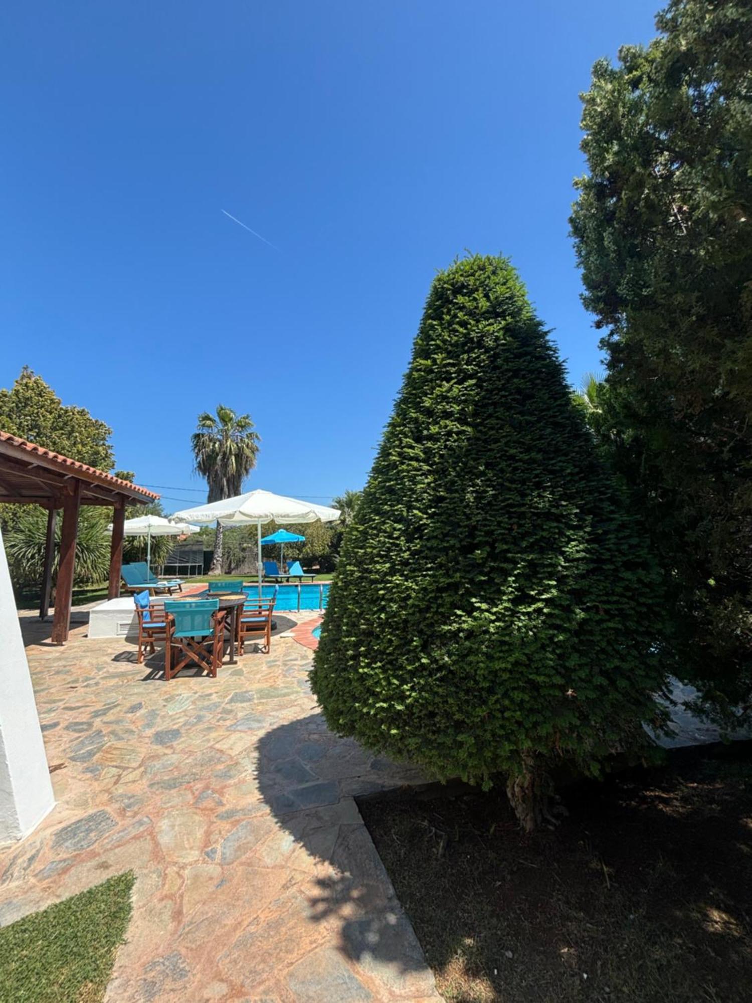 Country House With Pool And Big Garden Oropos Ngoại thất bức ảnh